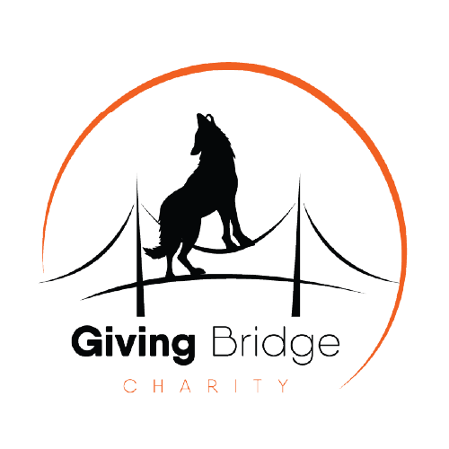 Giving Bridge Charity