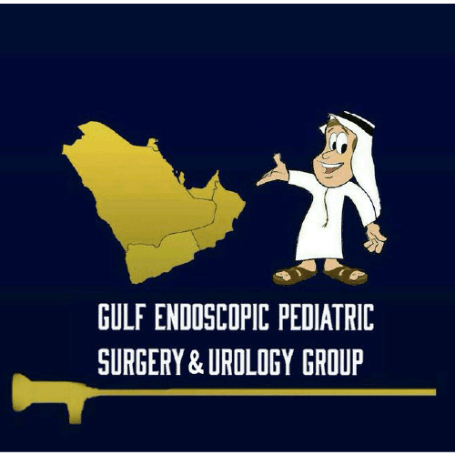 GULF ENDOSCOPIC PEDIATRIC SURGERY & UROLOGY GROUP